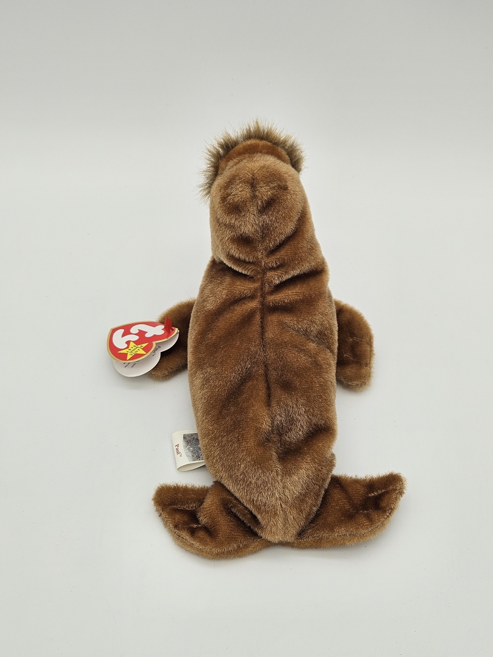 Ty Beanie Baby Walrus - Paul photo 2