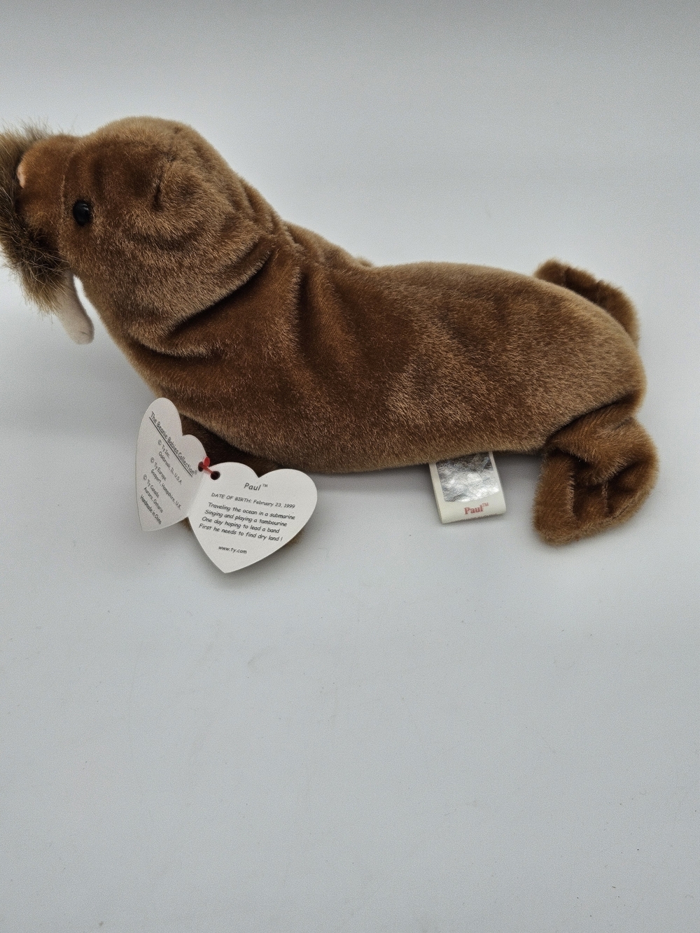 Ty Beanie Baby Walrus - Paul photo 3