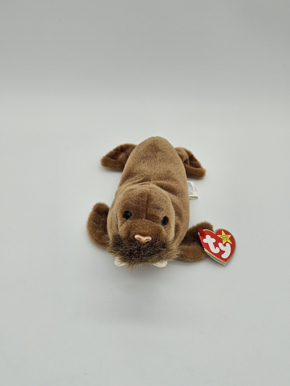 Ty Beanie Baby Walrus - Paul