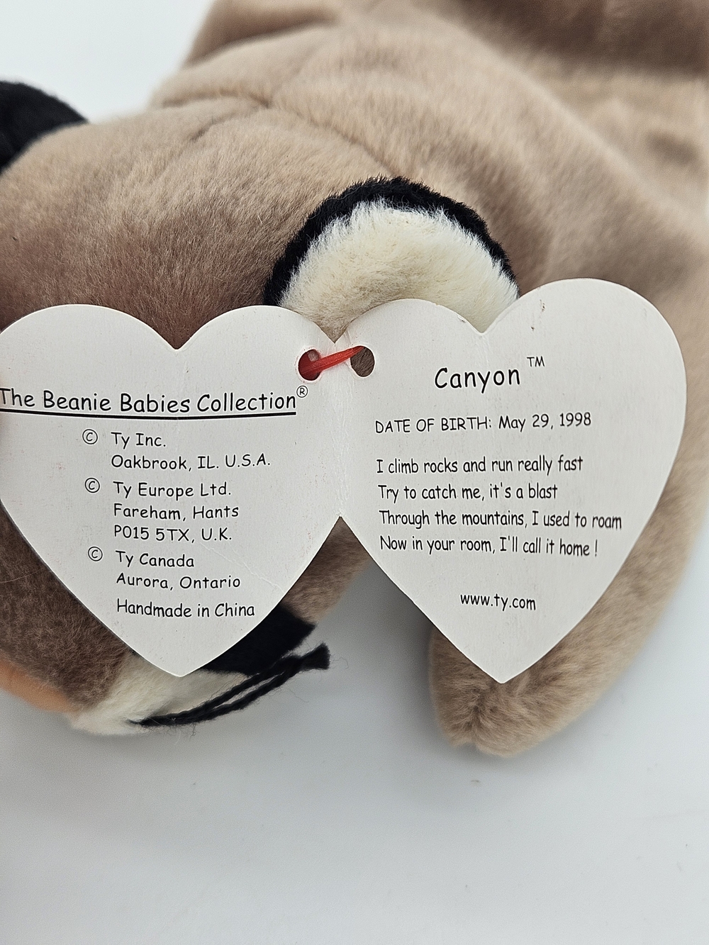 Ty Beanie Baby Cougar - Canyon photo 4