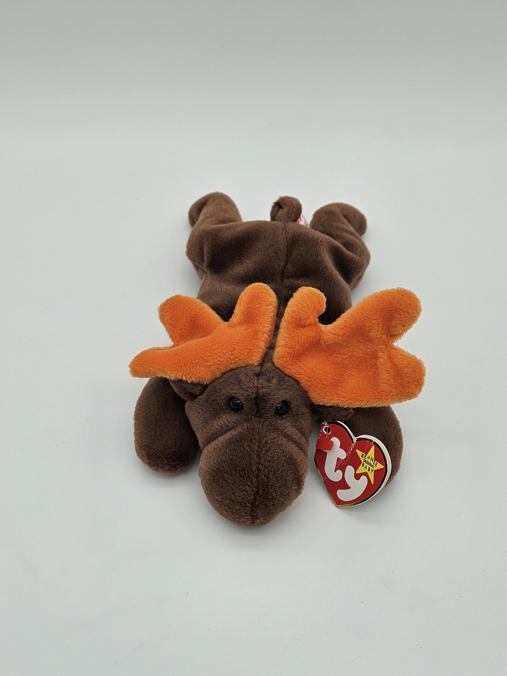 Ty Beanie Baby Moose- Chocolate