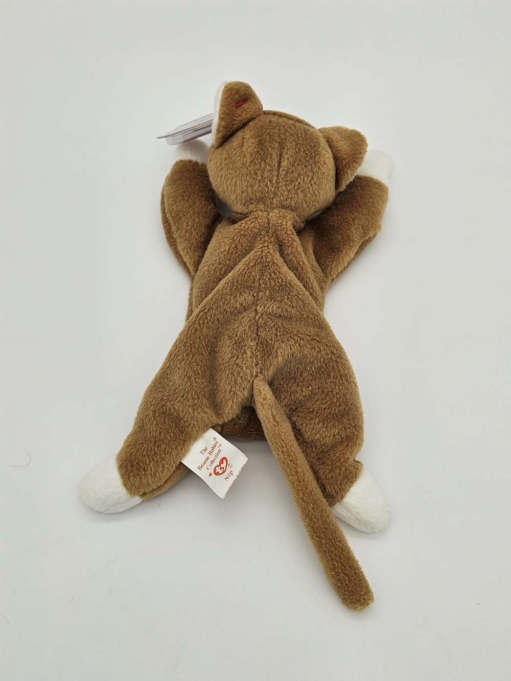 Ty Brown and White Cat Beanie Baby Plush- Nip photo 4